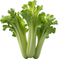 AI generated green celery on transparent background png