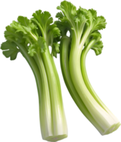 AI generated green celery on transparent background png