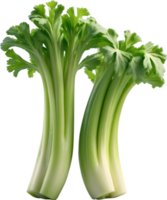 AI generated green celery on transparent background png