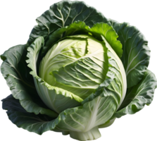 AI generated a cabbage is shown on a transparent background png