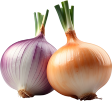 AI generated two onions on a no background png