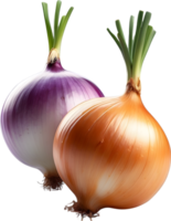 AI generated two onions on a no background png
