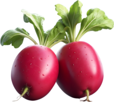 AI generated radishes on a transparent background png