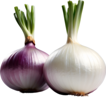 AI generated two onions on a no background png