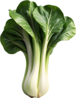 AI generated a bunch of green vegetables on a transparent background png