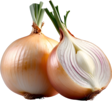 AI generated two onions on a no background png