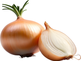 AI generated two onions on a no background png