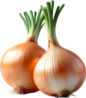 AI generated two onions on a transparent background png