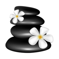 png - - Spa Steine mit Weiß Blumen png