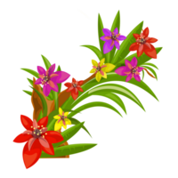 png - - exotisch Blumen Dekoration png