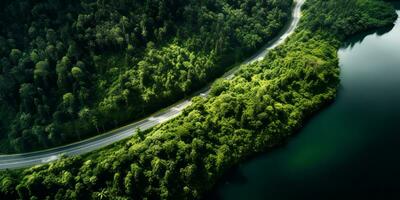 AI generated Aerial view of a road winding through a dense forest and running alongside a lake photo