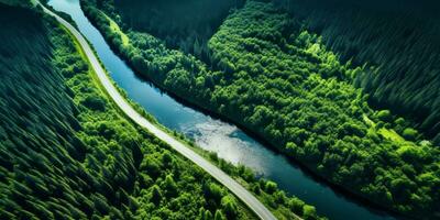 AI generated Aerial view of a road winding through a dense forest and running alongside a lake photo