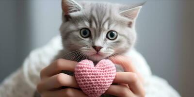 AI generated Cat holding a knitted heart photo