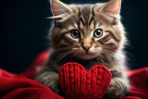 AI generated Cat holding a knitted heart photo