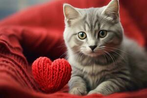 AI generated Cat holding a knitted heart photo