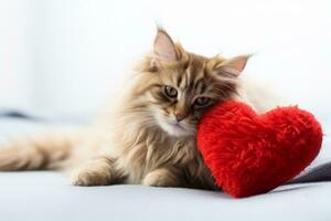 AI generated Cat with a knitted heart cushion photo