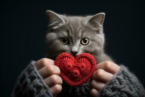 AI generated Cat holding a knitted heart photo