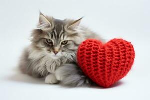 AI generated Cat with a knitted heart cushion photo