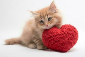 AI generated Cat with a knitted heart cushion photo