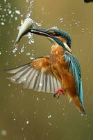 AI generated a big fish is catching a Kingfisher photo