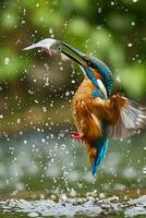 AI generated a big fish is catching a Kingfisher photo