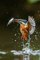 AI generated a big fish is catching a Kingfisher photo