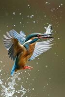 AI generated a big fish is catching a Kingfisher photo