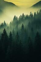 AI generated the land of pine trees, rain forest, mist, autumn fog photo