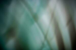 Defocused abstract textures, trees and grass. Abstract background for your design. photo