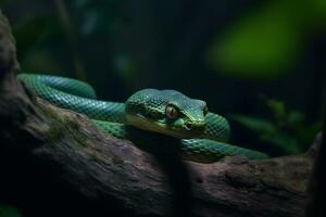 AI generated Green tropical snake. Neural network AI generated photo