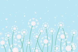 Illustration abstract of dandelion flower on soft blue background. vector