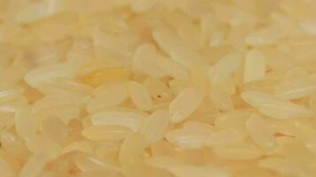 droog ongekookt voorgekookt rijst- roterend - macro. verspreide rauw lang graan rijst- - detailopname. Aziatisch keuken en cultuur. gezond aan het eten ingrediënten. eetpatroon voedsel video