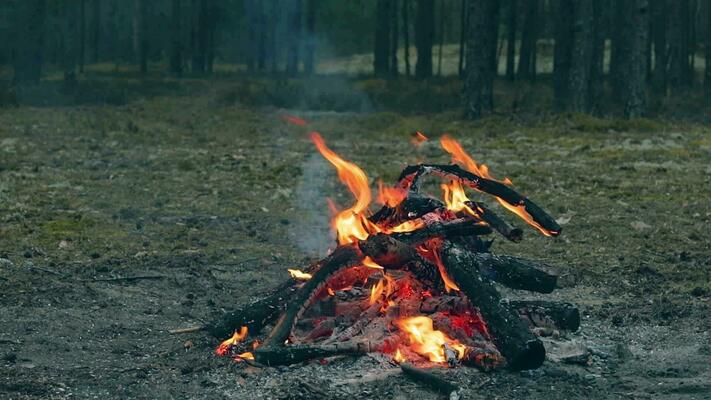 bonfire go outside STR 2枚 LAWANNATURAL bonfire go outside STR 2枚 LAWANNATURAL