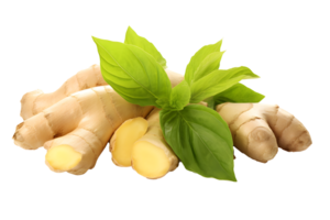 AI generated Fresh ginger root and basil leaf PNG