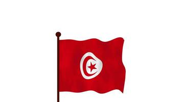 tunisien animerad video höjning de flagga, introduktion av de Land namn och flagga 4k upplösning.