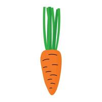 Cartoon carrot with green. Doodle illustration isolated on white. vector