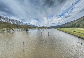 Drone image of the German river Main during a flood with flooded trees and traffic signs on the bank photo