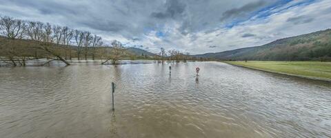 zumbido imagen de el alemán río principal durante un inundar con inundado arboles y tráfico señales en el banco foto