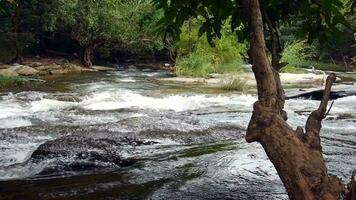 mooi waterval in groen Woud in oerwoud, waterval textuur, mooi waterval, toneel- visie van waterval, de nevelig waterdruppels stijgende lijn van een krachtig snel water stroom trapsgewijs over- de klif video