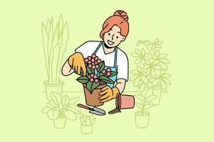 Woman florist takes care of home plants and holds flower pot with blooming violet standing near table. Girl in apron enjoys job as florist, and makes career as salesperson in store or greenhouse vector