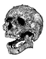 Skull with horns, in realistic style, with clear details, black and white vector drawing. For t-shirts, skull of an alien creature