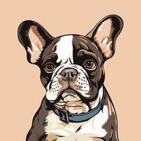 French bulldog vector Illustration