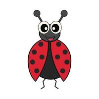 ladybug insect illustration vector