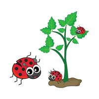 ladybug in tree illustration vector