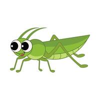 insect animal illustration vector