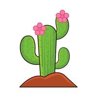 cactus with flower plant illustration vector