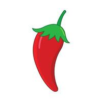 chili vegetable illustration vector