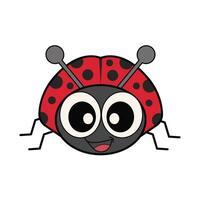 ladybug  insect illustration vector