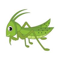 insect animal illustration vector