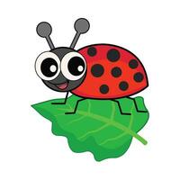 ladybug in leaf illustration vector